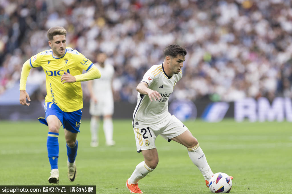 明星经历 明星经历